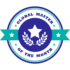 Global Master of the Month