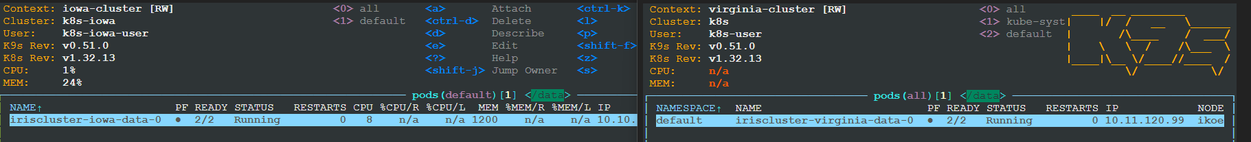 IrisCluster output