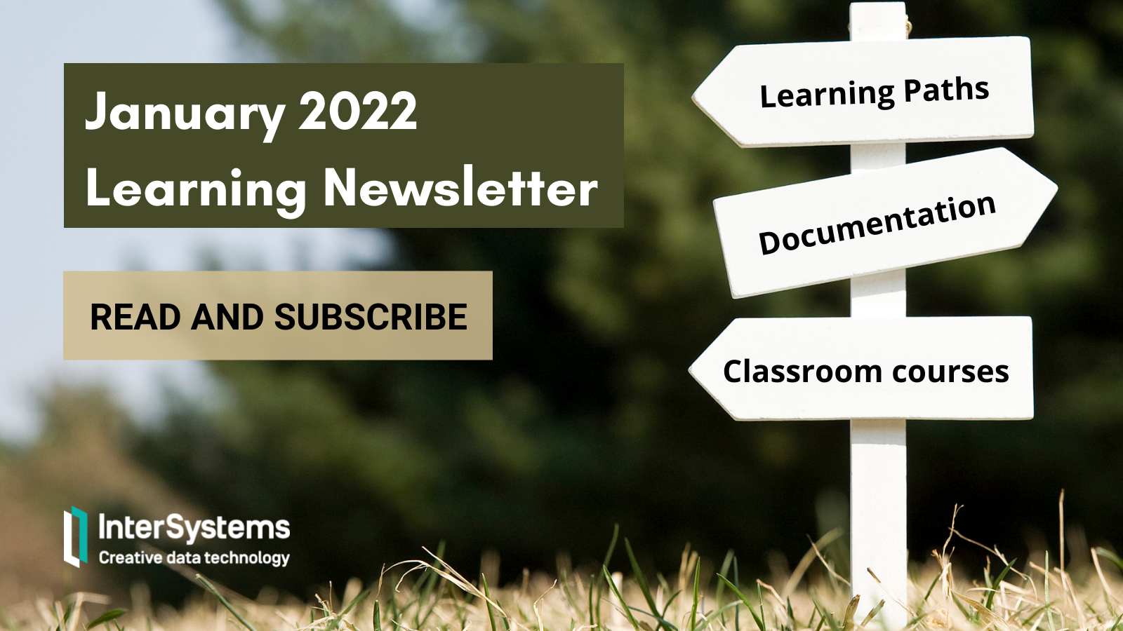 January 2022 Newsletter: Read and Subscribe.