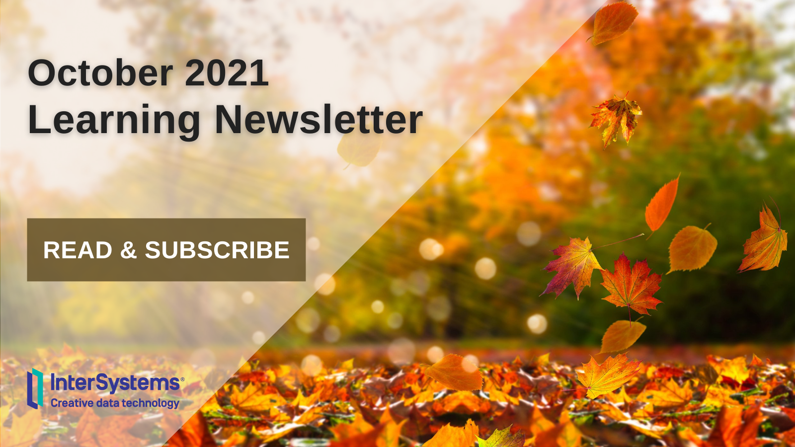October 2021 Learning Newsletter: Read and Subscribe
