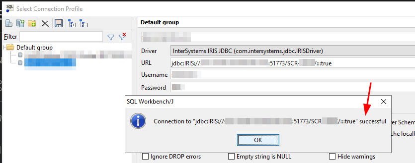 JDBC SQL Client Connection Test